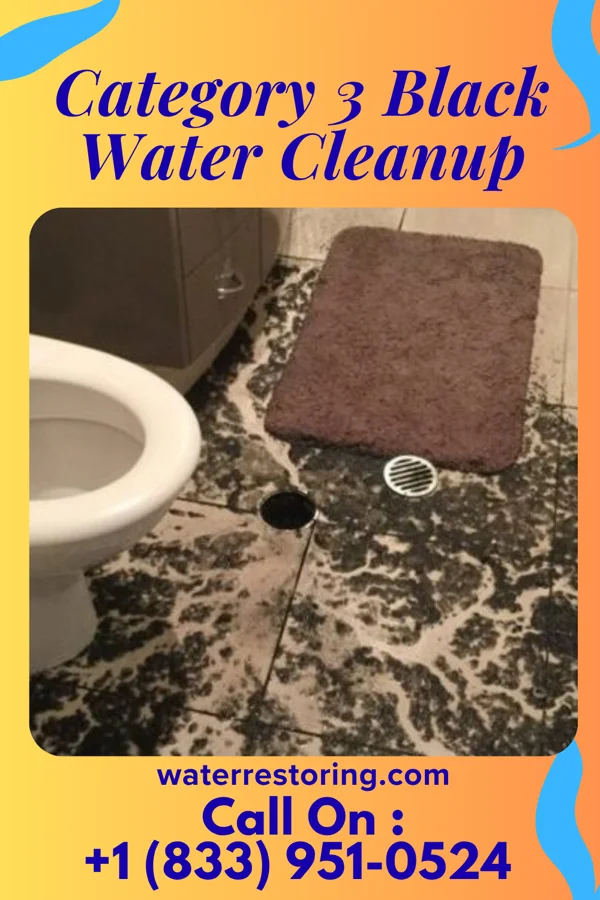 Category 3 Black Water Cleanup in Greasy, OK